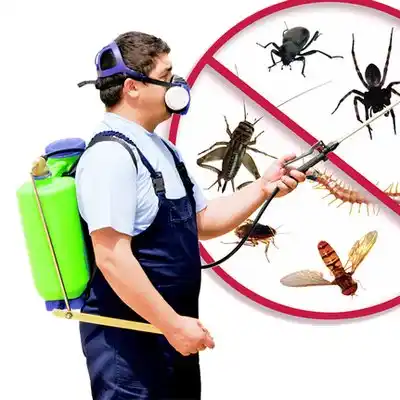 pest control La Puebla